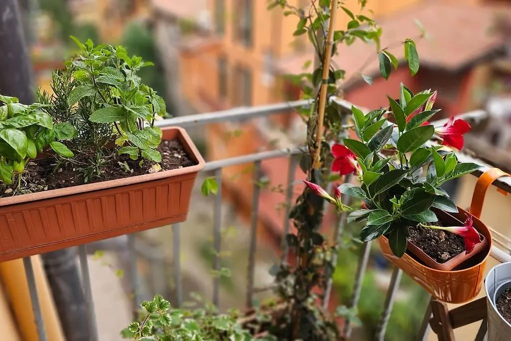 בולוניה Appartamento In Centro Con Vista Sul Canale איטליה
